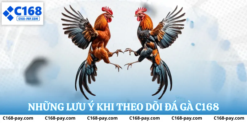 Đá Gà C168 3 Mẹo phân tích và cá cược đá gà C168